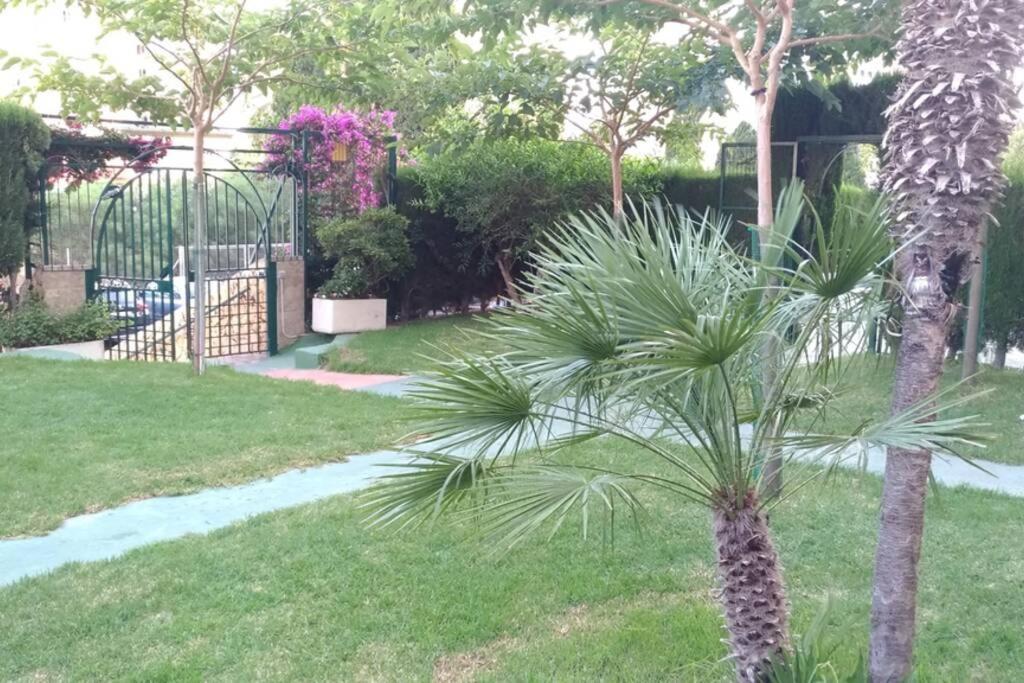 Apartamento Moderno Benidorm Zewnętrze zdjęcie